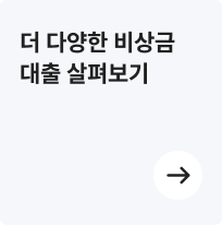 더 다양한 비상금 대출 살펴보기